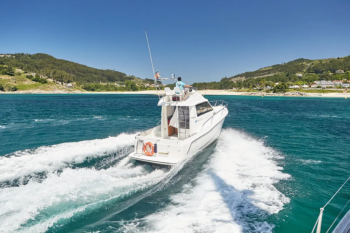 Rodman Fly 870 - 
