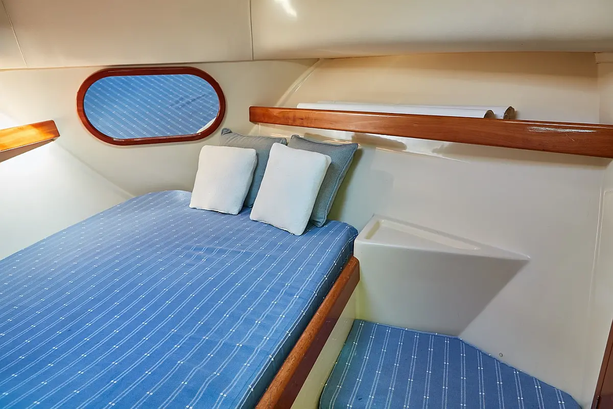 Rodman Fly 870 - 