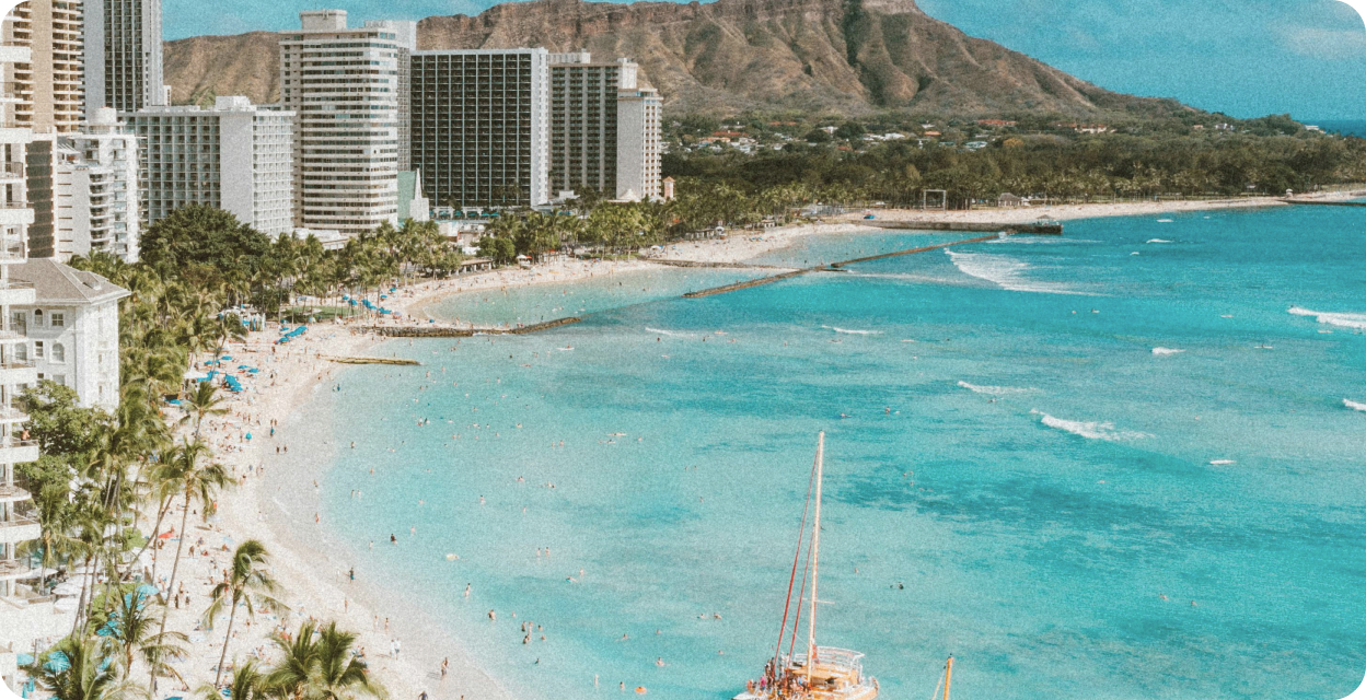 More about this showcase